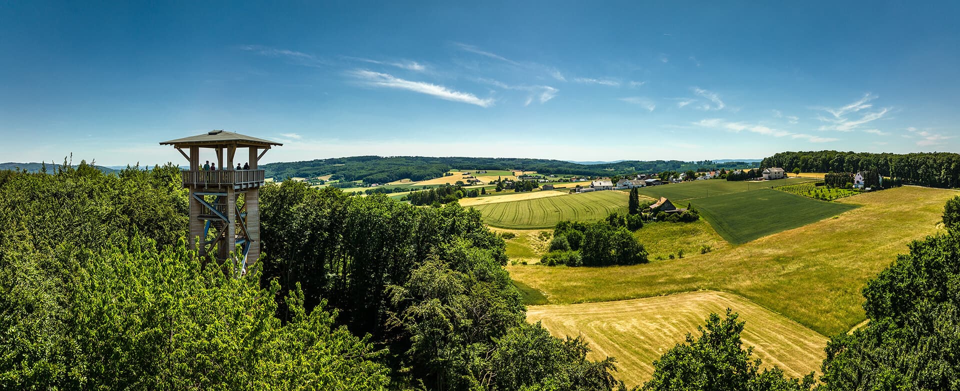 Community Background Picture